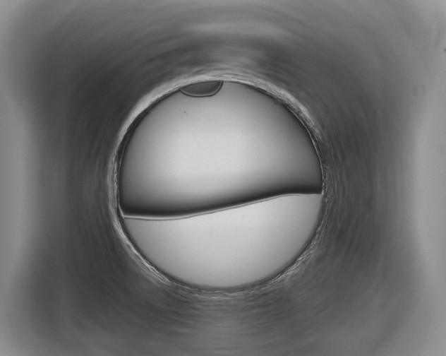 X0000116571522200912100953