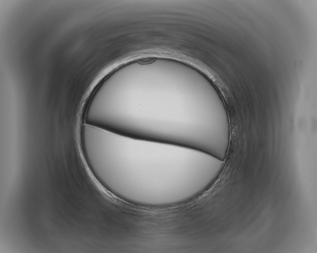 X0000116571523200912100953