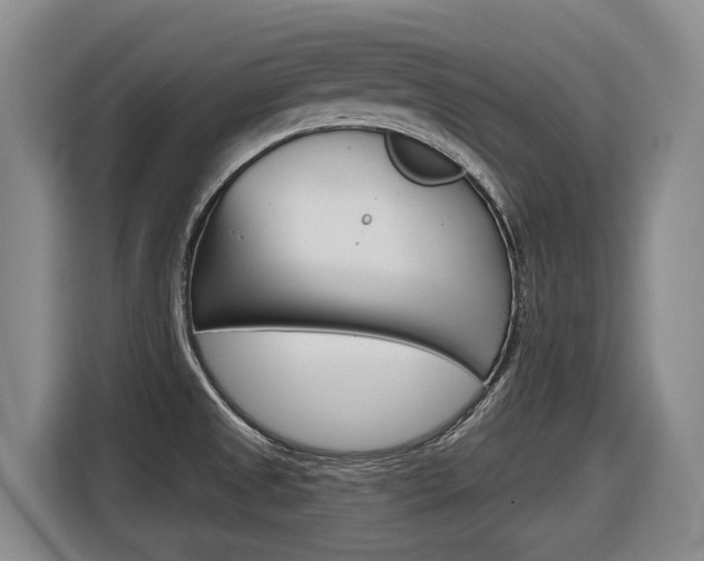 X0000116571525200912100953
