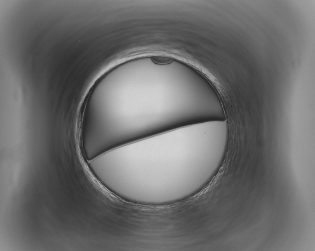X0000116571526200912100953