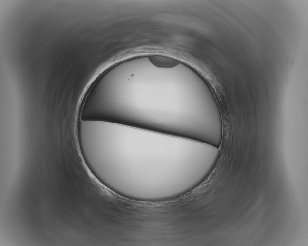 X0000116571527200912100953