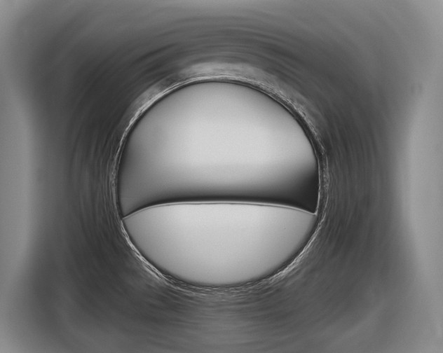 X0000116571529200912100953