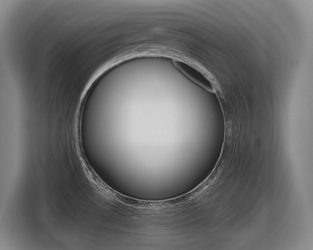 X0000116571530200912100953