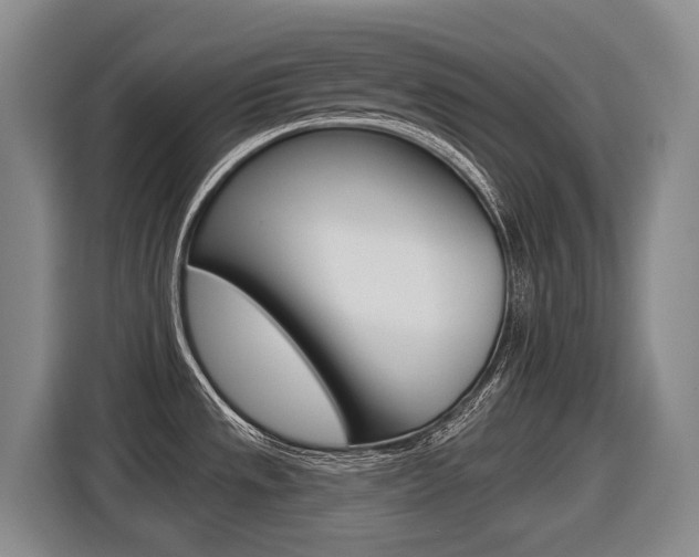 X0000116571533200912100953