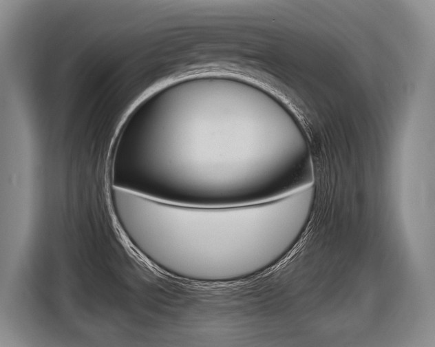 X0000116571534200912100953