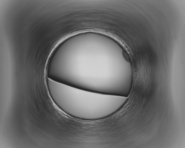 X0000116571535200912100953