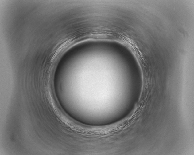 X0000116570001200912101520