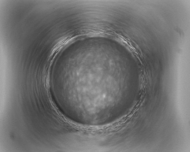 X0000116570002200912101520