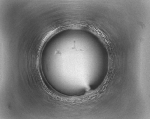 X0000116570003200912101520