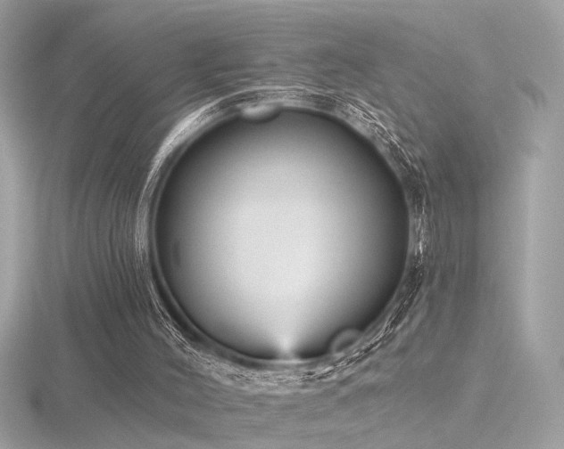 X0000116570004200912101520