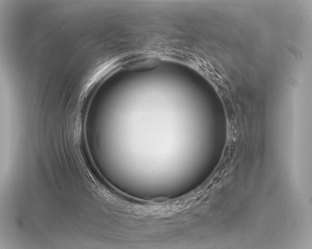 X0000116570005200912101520