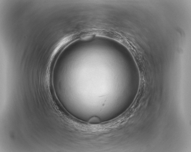 X0000116570006200912101520