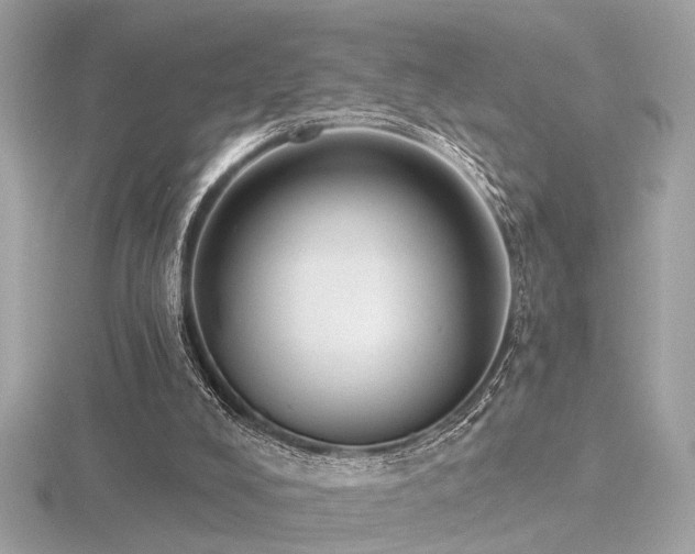 X0000116570008200912101520