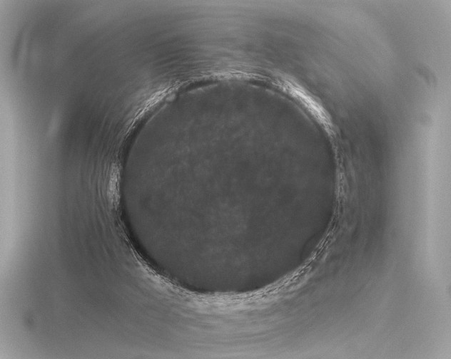 X0000116570009200912101520