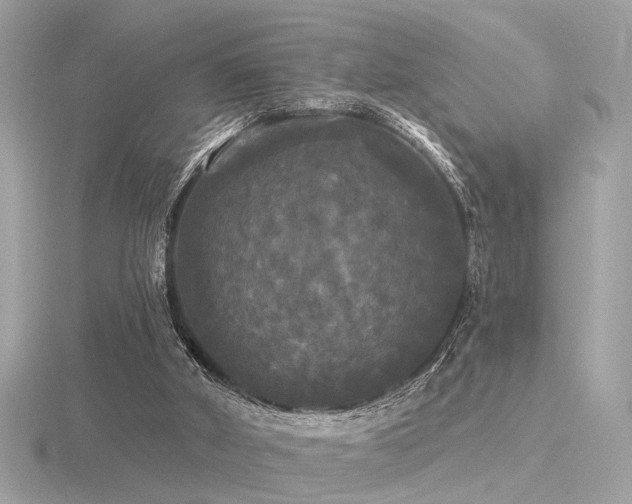 X0000116570010200912101520