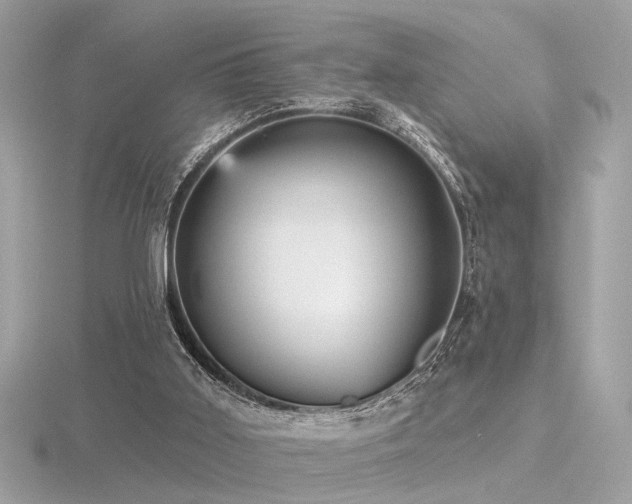 X0000116570011200912101520