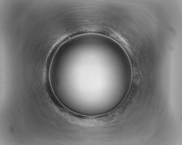 X0000116570012200912101520