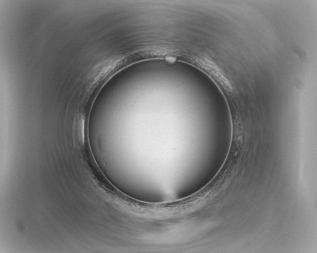 X0000116570014200912101520