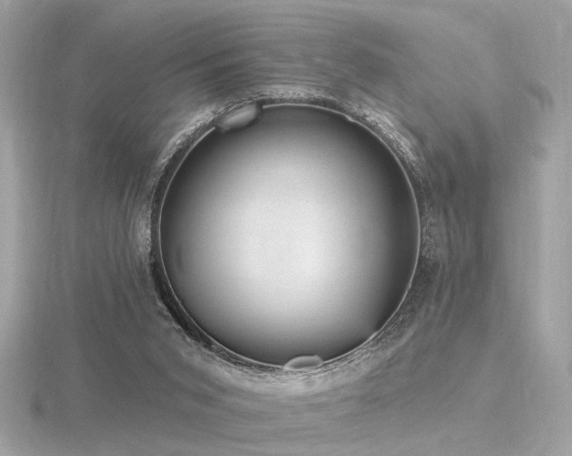 X0000116570015200912101520