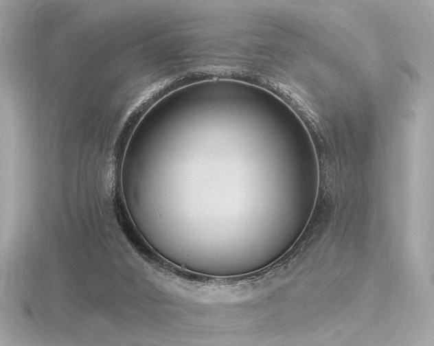 X0000116570016200912101520