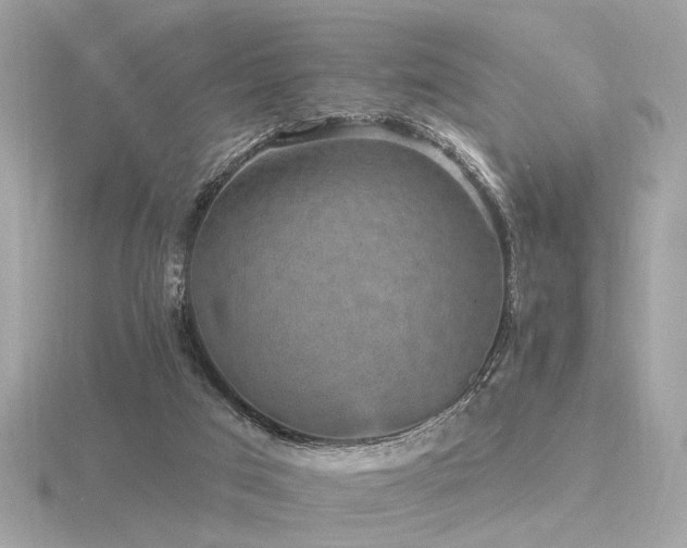 X0000116570017200912101520