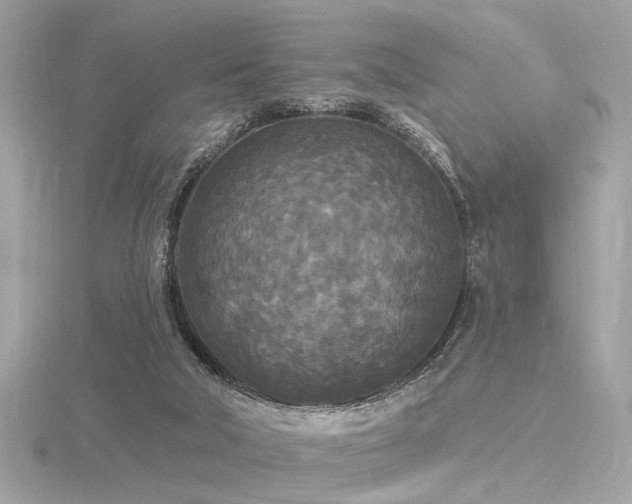 X0000116570018200912101520