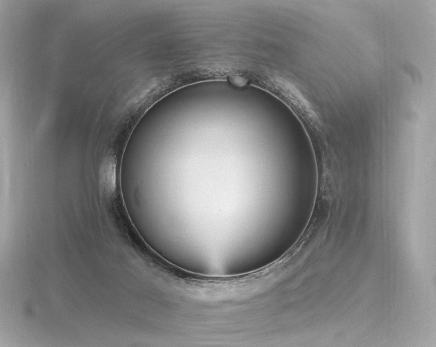 X0000116570021200912101520