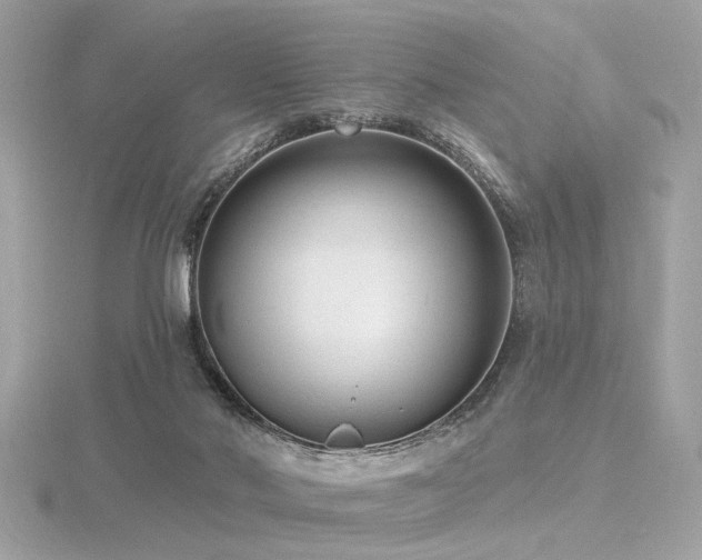 X0000116570022200912101520