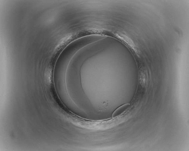 X0000116570023200912101520