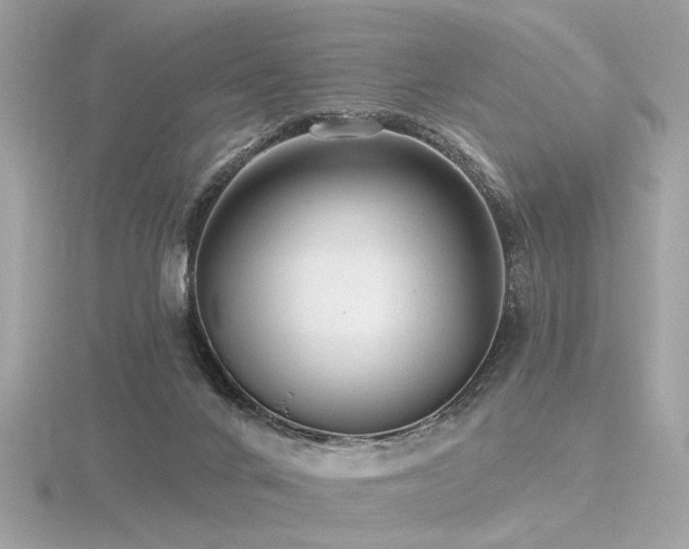 X0000116570024200912101520