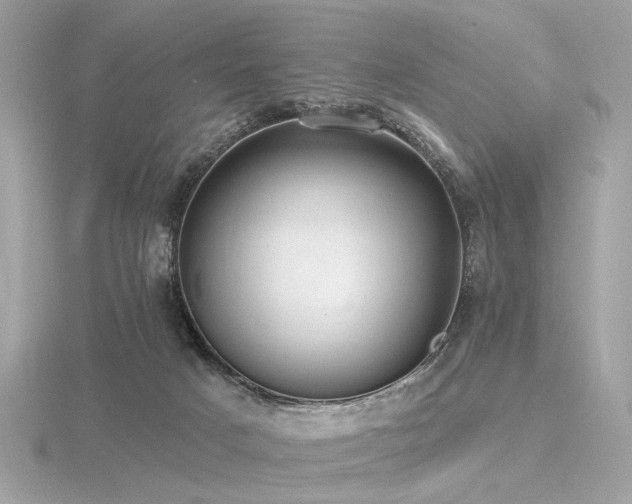 X0000116570025200912101520