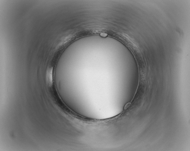 X0000116570028200912101520