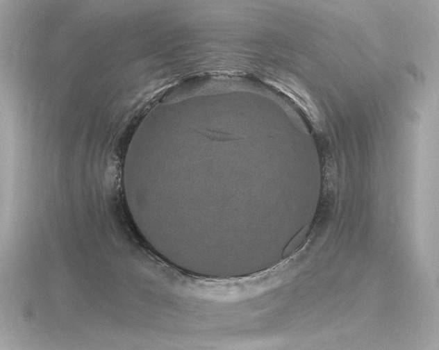 X0000116570029200912101520