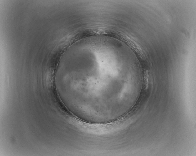 X0000116570030200912101520