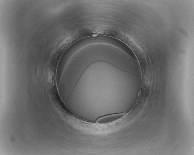 X0000116570031200912101520