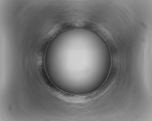 X0000116570032200912101520