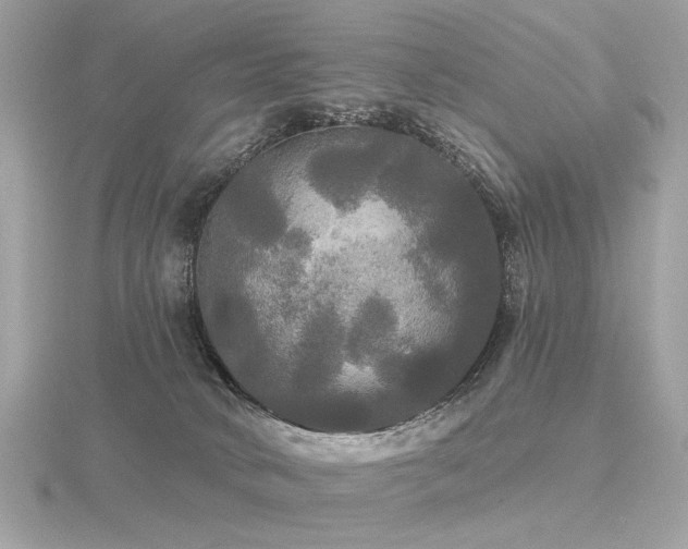 X0000116570034200912101520