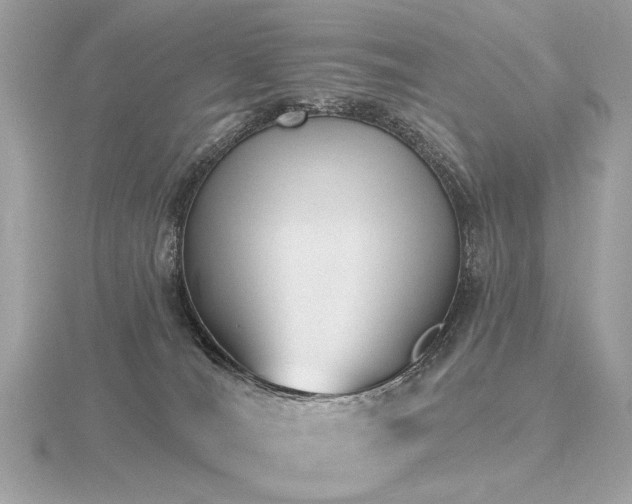 X0000116570036200912101520