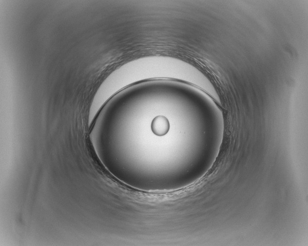 X0000116570037200912101520