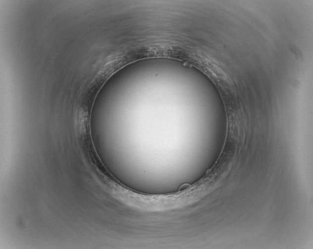 X0000116570038200912101520