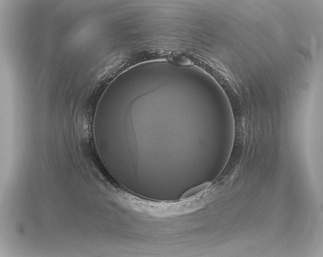 X0000116570039200912101519