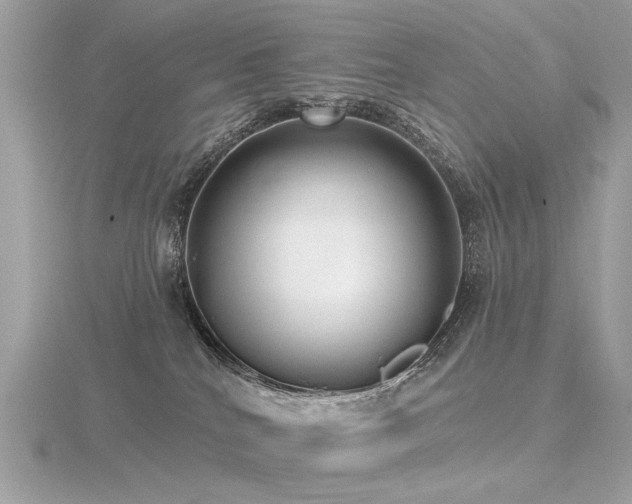 X0000116570040200912101519