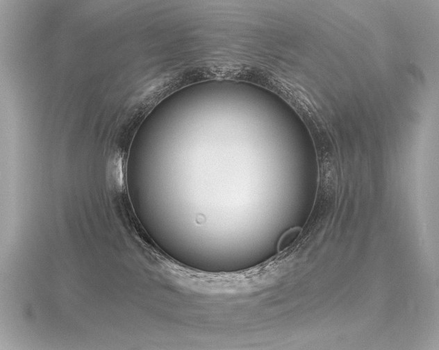 X0000116570042200912101519