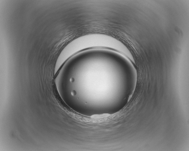 X0000116570043200912101519