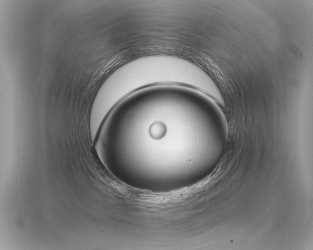 X0000116570045200912101519