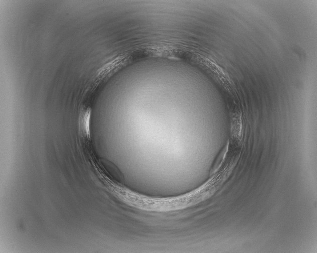 X0000116570047200912101519