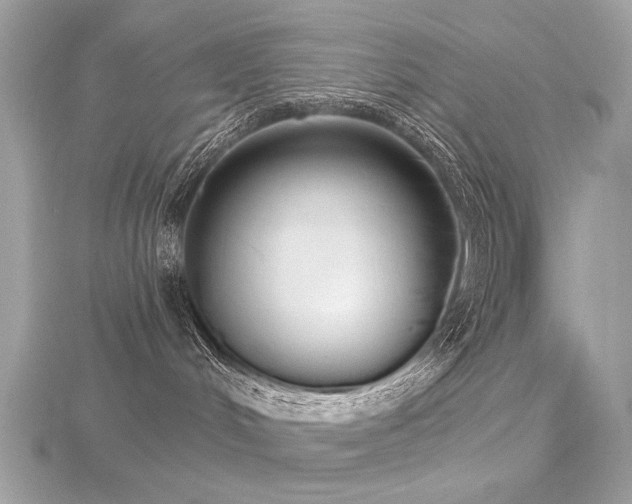 X0000116570048200912101519