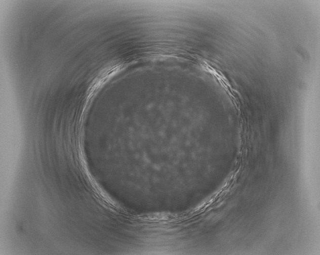 X0000116570049200912101519