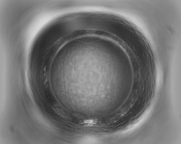 X0000116570050200912101519