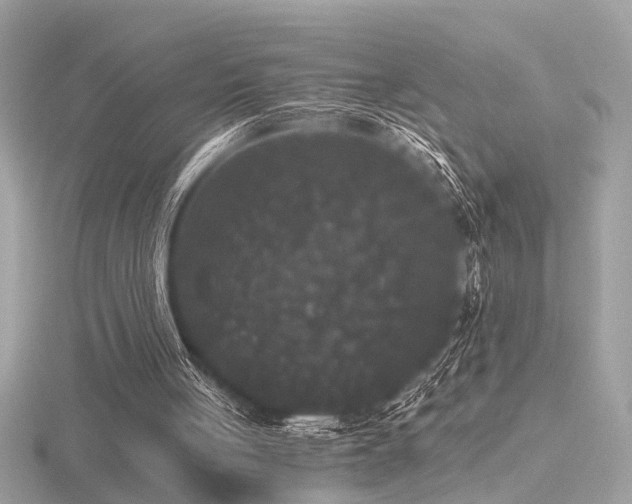 X0000116570051200912101519